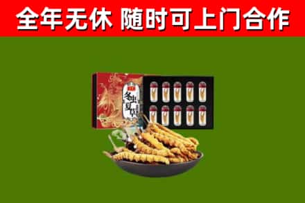 裕华回收冬虫夏草价格